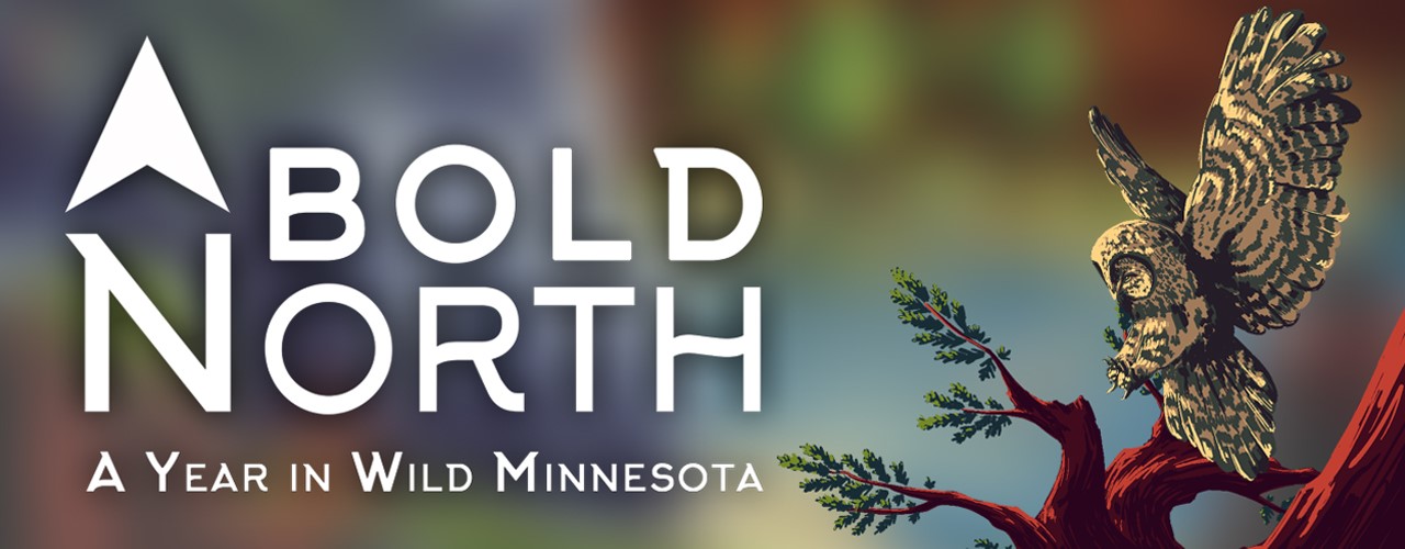 Bold North: A Year in Wild Minnesota 